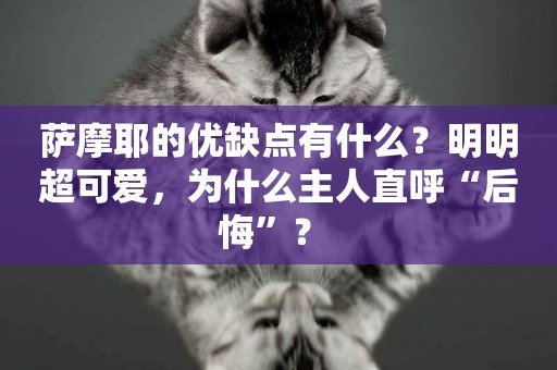 薩摩耶的優缺點有什么？明明超可愛，為什么主人直呼“后悔”？ 