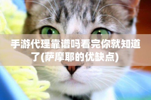 手游代理靠譜嗎看完你就知道了(薩摩耶的優缺點) 