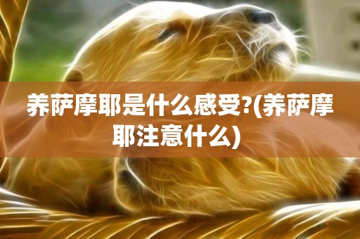 養薩摩耶是什么感受?(養薩摩耶注意什么) 