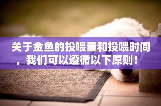 關于金魚的投喂量和投喂時間，我們可以遵循以下原則！ 