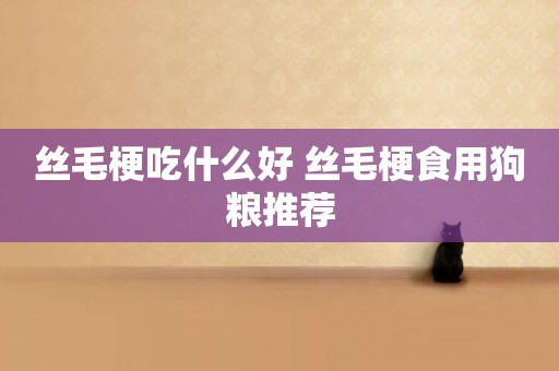 絲毛梗吃什么好 絲毛梗食用狗糧推薦