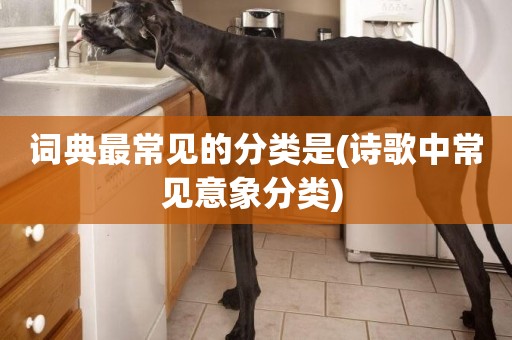 詞典最常見的分類是(詩歌中常見意象分類) 