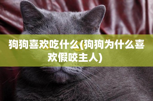 狗狗喜歡吃什么(狗狗為什么喜歡假咬主人) 
