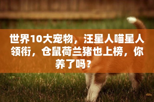 世界10大寵物，汪星人喵星人領銜，倉鼠荷蘭豬也上榜，你養了嗎？ 