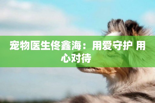 寵物醫生佟鑫海：用愛守護 用心對待 