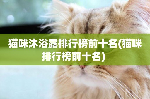 貓咪沐浴露排行榜前十名(貓咪排行榜前十名) 