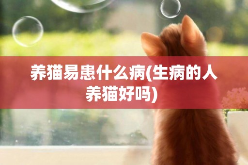 養貓易患什么病(生病的人養貓好嗎) 