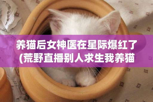養貓后女神醫在星際爆紅了(荒野直播別人求生我養貓火了) 