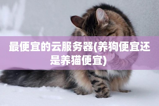 最便宜的云服務器(養狗便宜還是養貓便宜) 