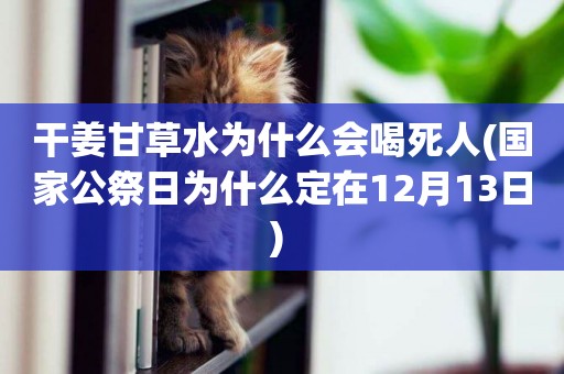 干姜甘草水為什么會喝死人(國家公祭日為什么定在12月13日) 