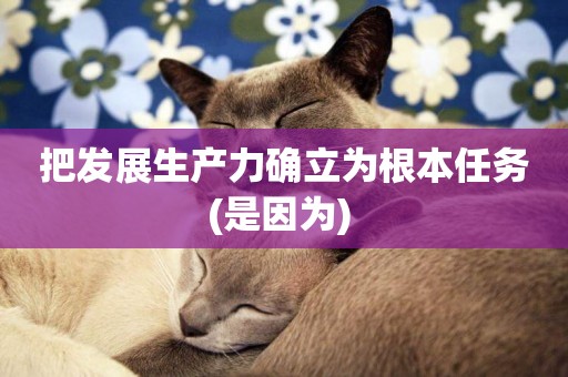 把發展生產力確立為根本任務(是因為) 