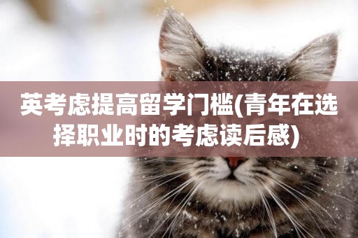 英考慮提高留學門檻(青年在選擇職業時的考慮讀后感) 