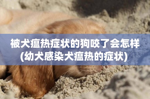 被犬瘟熱癥狀的狗咬了會怎樣(幼犬感染犬瘟熱的癥狀) 