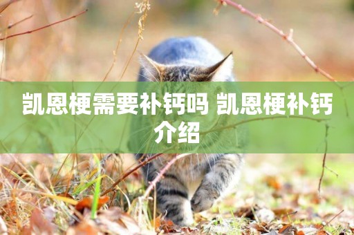 凱恩梗需要補鈣嗎 凱恩梗補鈣介紹