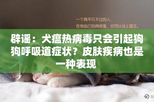 辟謠：犬瘟熱病毒只會引起狗狗呼吸道癥狀？皮膚疾病也是一種表現 