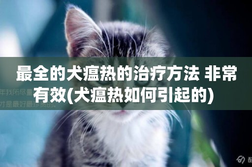 最全的犬瘟熱的治療方法 非常有效(犬瘟熱如何引起的) 