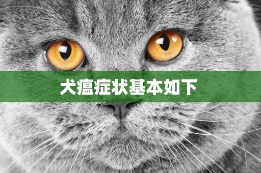 犬瘟癥狀基本如下 