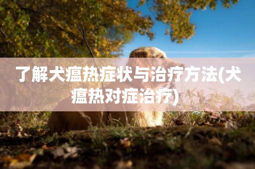 了解犬瘟熱癥狀與治療方法(犬瘟熱對癥治療) 
