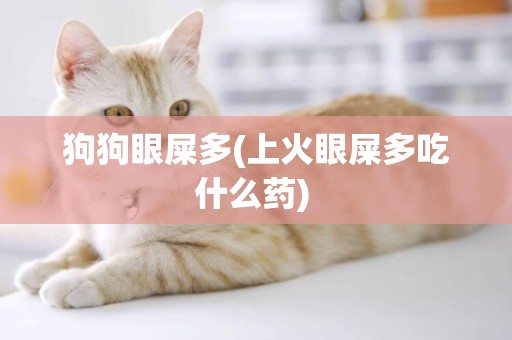 狗狗眼屎多(上火眼屎多吃什么藥) 