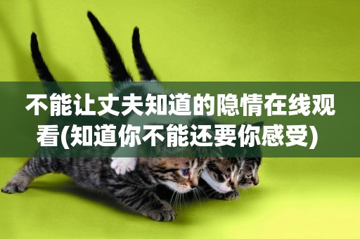 不能讓丈夫知道的隱情在線觀看(知道你不能還要你感受) 
