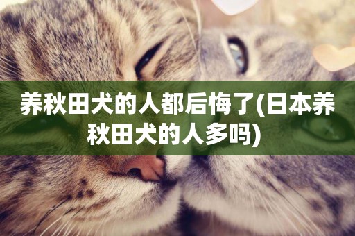 養秋田犬的人都后悔了(日本養秋田犬的人多嗎) 