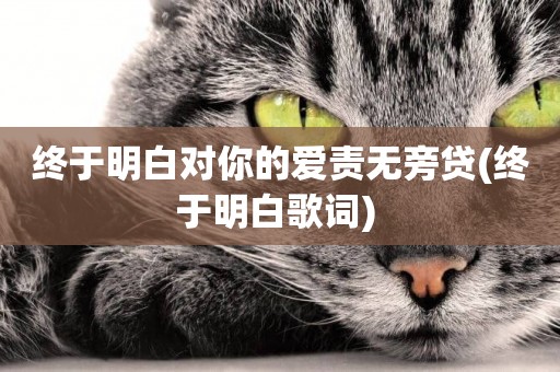 終于明白對你的愛責無旁貸(終于明白歌詞) 
