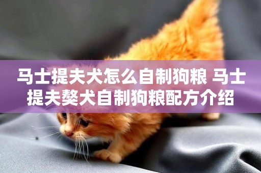 馬士提夫犬怎么自制狗糧 馬士提夫獒犬自制狗糧配方介紹