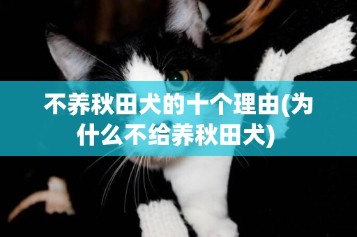不養秋田犬的十個理由(為什么不給養秋田犬) 