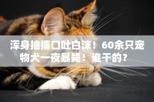 渾身抽搐口吐白沫！60余只寵物犬一夜暴斃！誰干的？ 