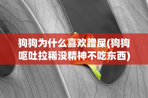 狗狗為什么喜歡蹭屎(狗狗嘔吐拉稀沒精神不吃東西) 