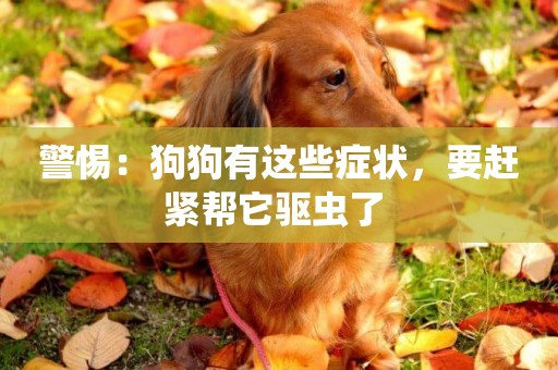 警惕：狗狗有這些癥狀，要趕緊幫它驅蟲了 