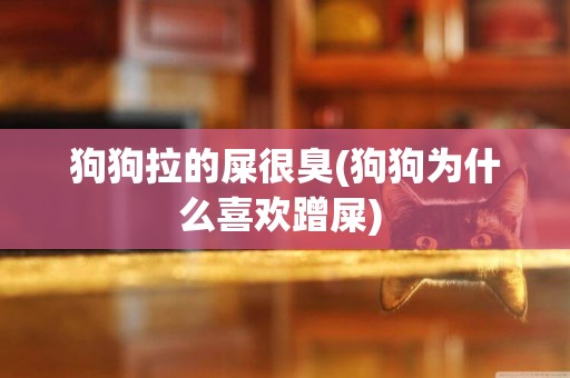 狗狗拉的屎很臭(狗狗為什么喜歡蹭屎) 