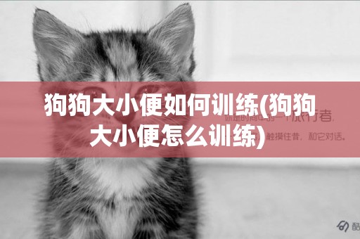 狗狗大小便如何訓練(狗狗大小便怎么訓練) 
