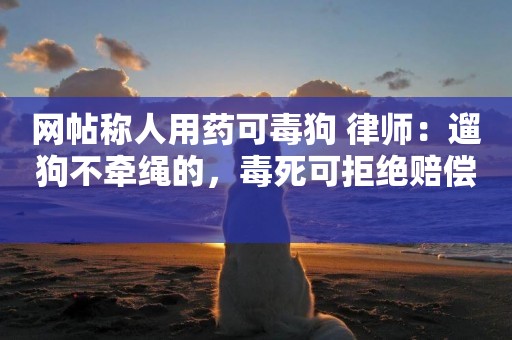網帖稱人用藥可毒狗 律師：遛狗不牽繩的，毒死可拒絕賠償 