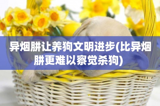 異煙肼讓養狗文明進步(比異煙肼更難以察覺殺狗) 