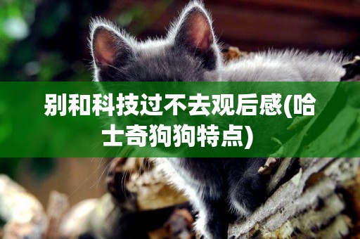 別和科技過不去觀后感(哈士奇狗狗特點) 