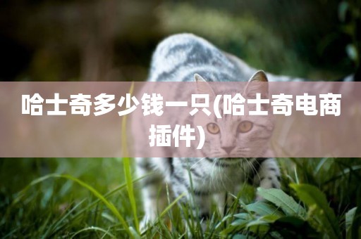 哈士奇多少錢一只(哈士奇電商插件) 