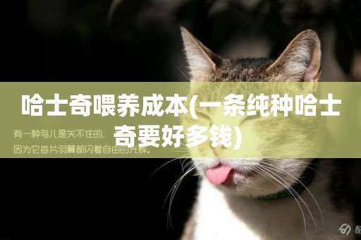 哈士奇喂養成本(一條純種哈士奇要好多錢) 