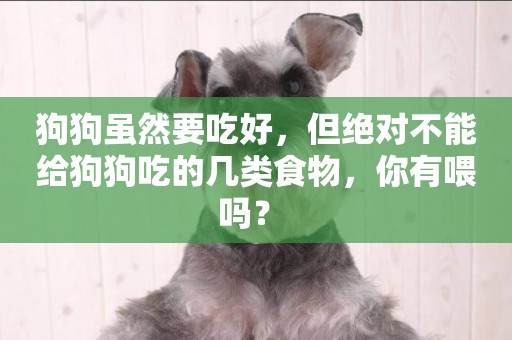 狗狗雖然要吃好，但絕對不能給狗狗吃的幾類食物，你有喂嗎？ 