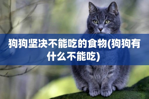 狗狗堅決不能吃的食物(狗狗有什么不能吃) 