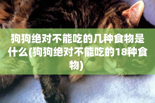 狗狗絕對不能吃的幾種食物是什么(狗狗絕對不能吃的18種食物) 