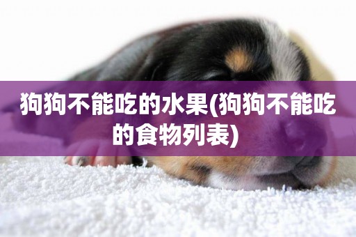 狗狗不能吃的水果(狗狗不能吃的食物列表) 
