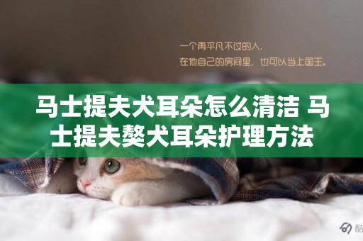 馬士提夫犬耳朵怎么清潔 馬士提夫獒犬耳朵護理方法