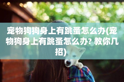 寵物狗狗身上有跳蚤怎么辦(寵物狗身上有跳蚤怎么辦? 教你幾招) 