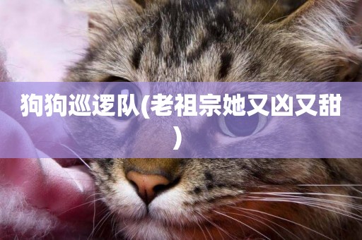 狗狗巡邏隊(老祖宗她又兇又甜) 