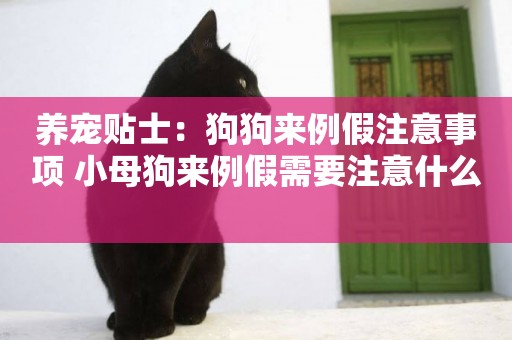 養寵貼士：狗狗來例假注意事項 小母狗來例假需要注意什么 
