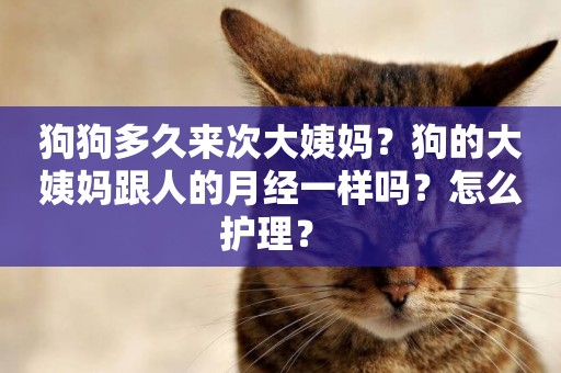 狗狗多久來次大姨媽？狗的大姨媽跟人的月經一樣嗎？怎么護理？ 