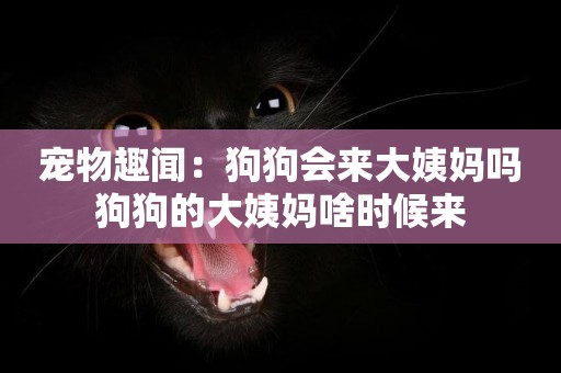寵物趣聞：狗狗會來大姨媽嗎 狗狗的大姨媽啥時候來 