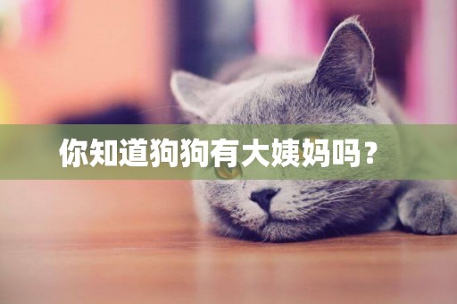 你知道狗狗有大姨媽嗎？ 