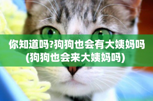 你知道嗎?狗狗也會有大姨媽嗎(狗狗也會來大姨媽嗎) 